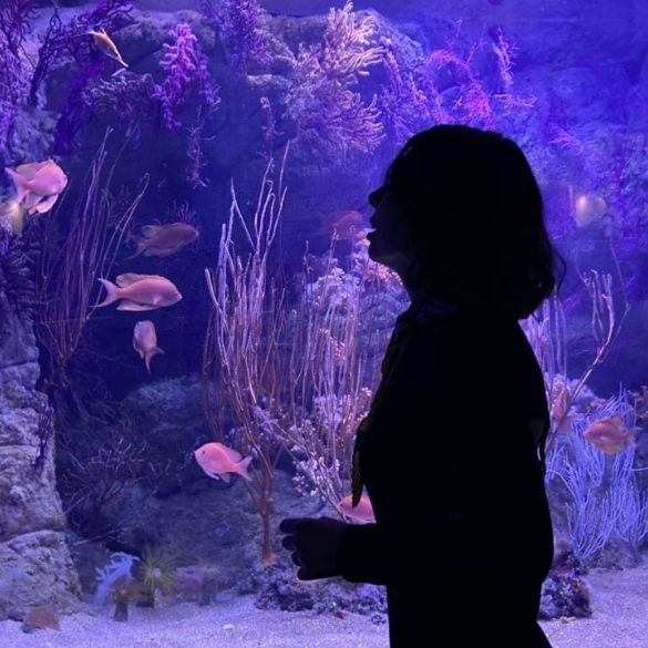 Colore Nero: Significato, Simbologia e Curiosità